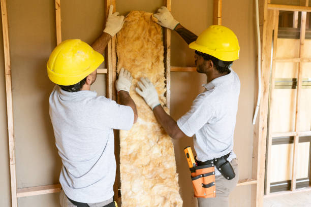 Best Home Insulation Services  in Stevenson, WA