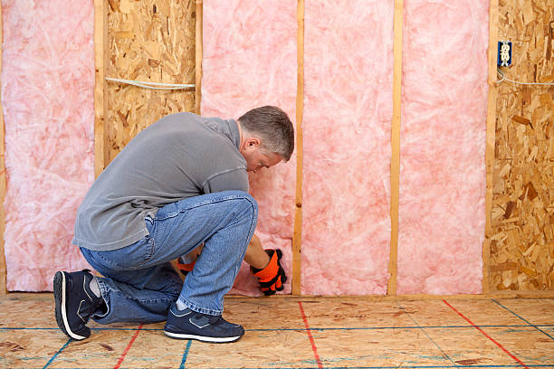 Best Fiberglass Insulation  in Stevenson, WA